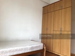 Hillview Residence (D23), Condominium #242919281